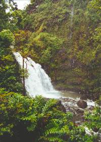 Drive-up waterfall on the Hana Highway