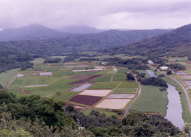 Wideangle view of farms in the inland part of Hanalei Valley
