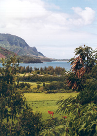 View of the coastal part of the Hanalei Valley