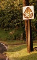 County route 365 marker, with white number on dark background
