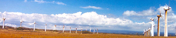 Windmill farm off South Point Road