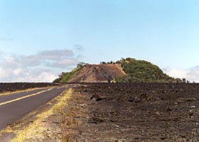 Koa Kipuka off old Ala Mauna Saddle Road