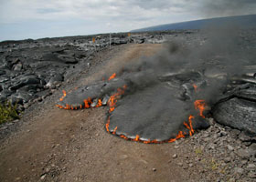 Pahoehoe lava cuts across the old gravel access road