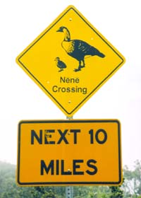 Nene Crossing sign on Haleakala Crater Road