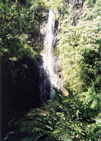 Wailua Falls, from the bridge